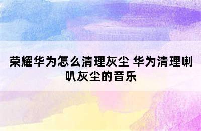 荣耀华为怎么清理灰尘 华为清理喇叭灰尘的音乐